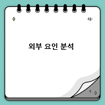 외부 요인 분석