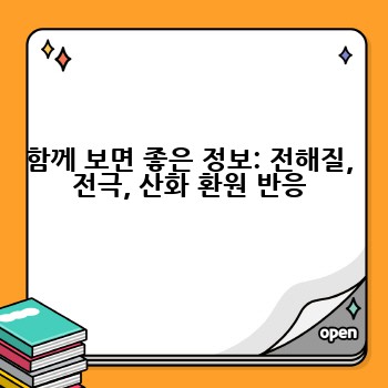 함께 보면 좋은 정보: 전해질, 전극, 산화 환원 반응