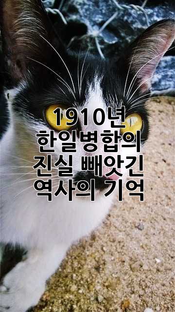 1910년 한일병합의 진실: 빼앗긴 역사의 기억