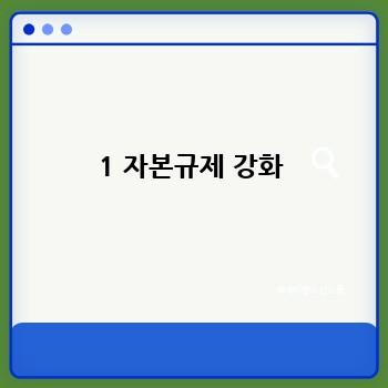 1 자본규제 강화