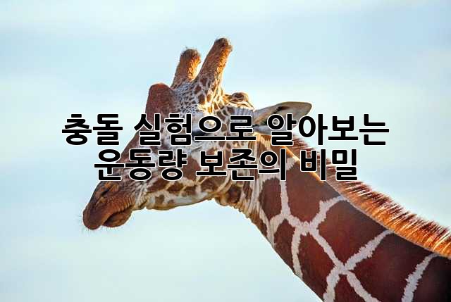 충돌 실험으로 알아보는 운동량 보존의 비밀