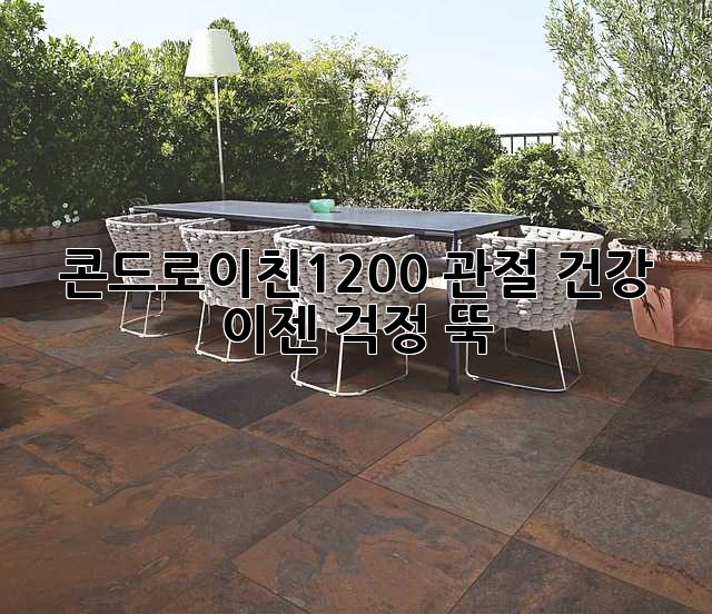 콘드로이친1200: 관절 건강, 이젠 걱정 뚝!