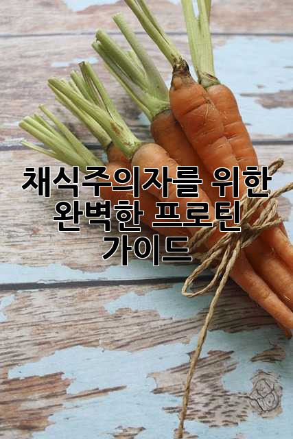 채식주의자를 위한 완벽한 프로틴 가이드