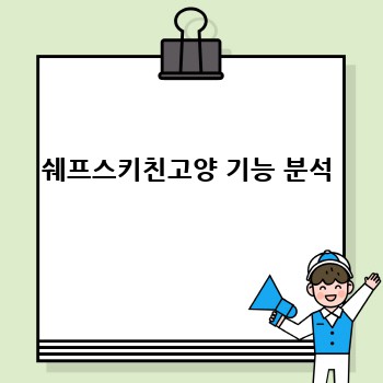 쉐프스키친고양 기능 분석