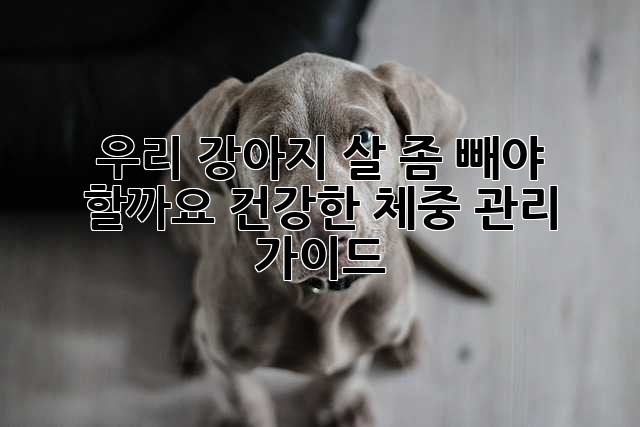 우리 강아지, 살 좀 빼야 할까요? 건강한 체중 관리 가이드