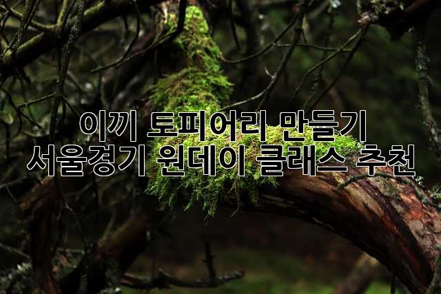 이끼 토피어리 만들기: 서울/경기 원데이 클래스 추천