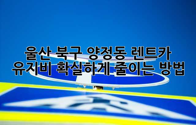 울산 북구 양정동 렌트카 유지비, 확실하게 줄이는 방법!