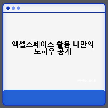 엑셀스페이스 활용 나만의 노하우 공개