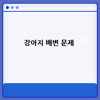 강아지 배변 문제