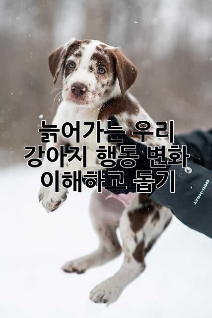 늙어가는 우리 강아지, 행동 변화 이해하고 돕기