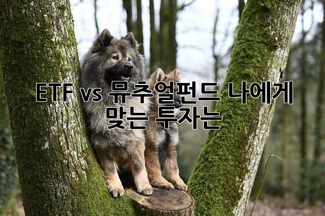 ETF vs 뮤추얼펀드: 나에게 맞는 투자는?