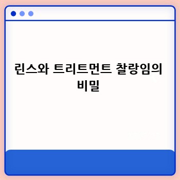 린스와 트리트먼트 찰랑임의 비밀