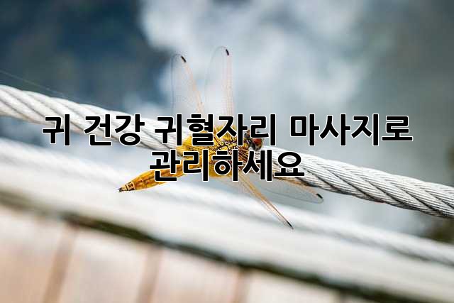귀 건강, 귀혈자리 마사지로 관리하세요!