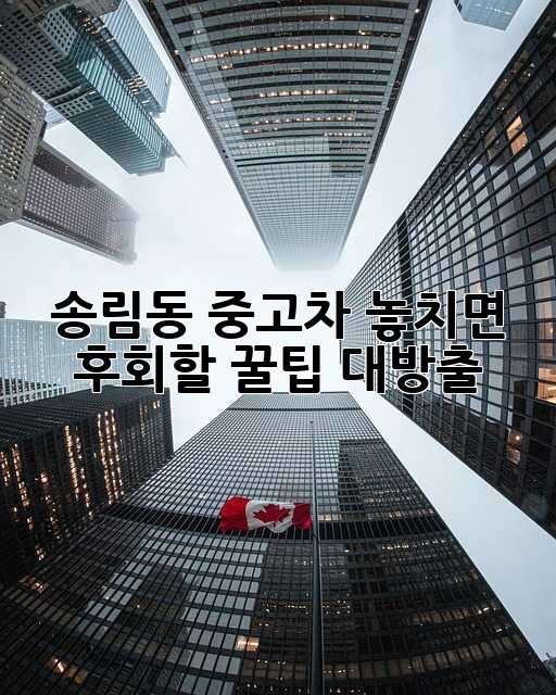송림동 중고차, 놓치면 후회할 꿀팁 대방출! 🚗💨